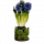 ФЛОРАРИУМЫ